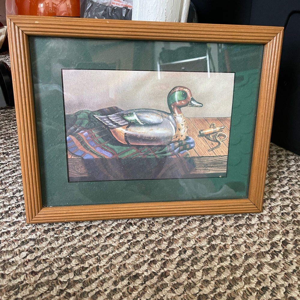 Framed Duck Picture Home Decor